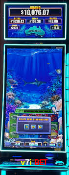 Casino Ao Vivo v7i bet